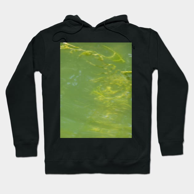 Algae Frond Macro Hoodie by DlmtleArt